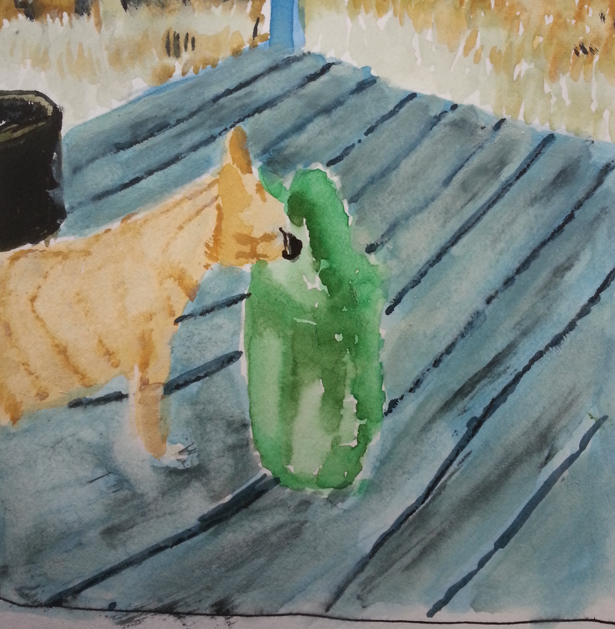 cat on porch smelling green watering can