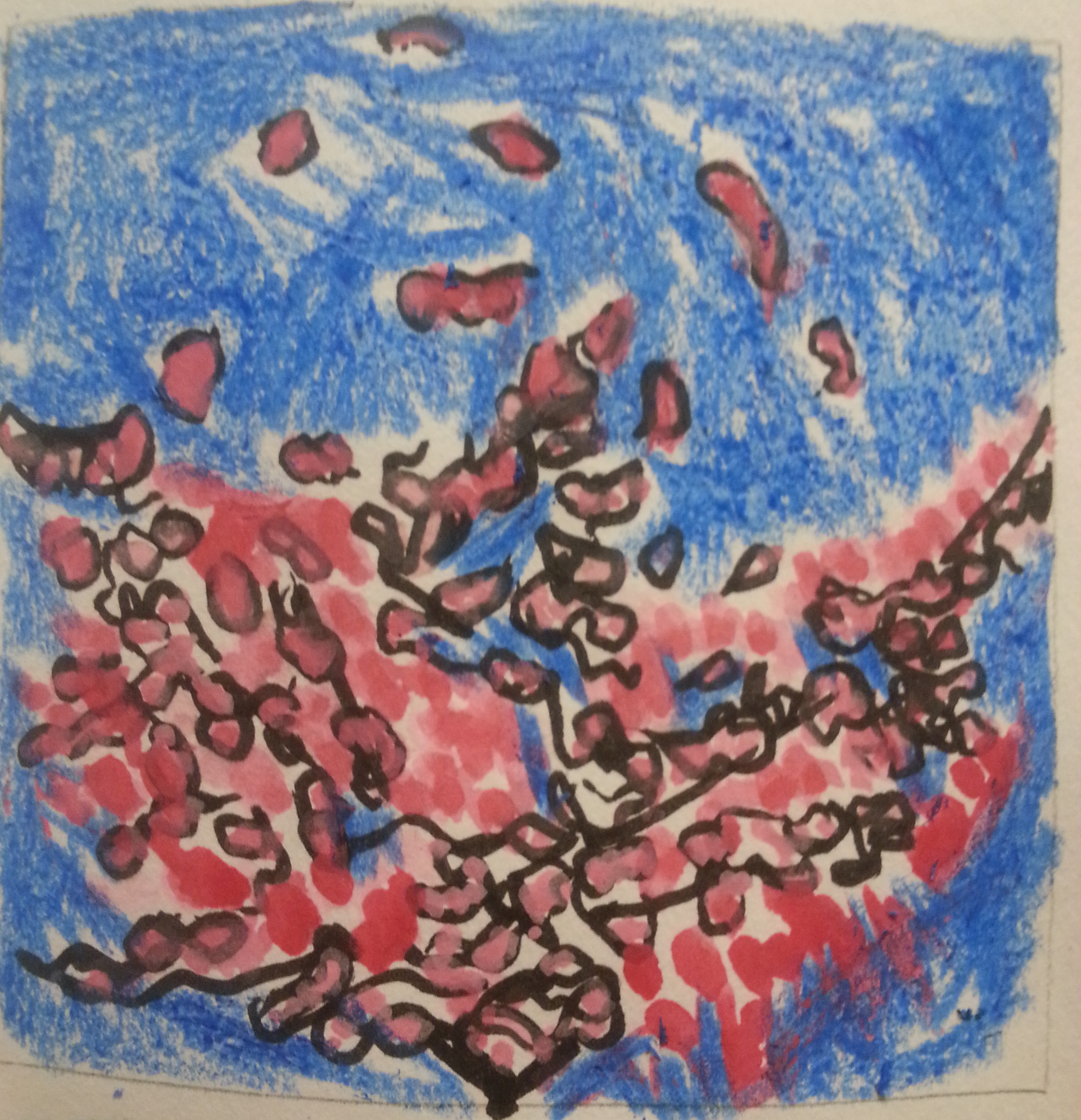 pink blossems in crayon